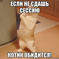 ЕСЛИ НЕ СДАШЬ СЕССИЮ КОТИК ОБИДИТСЯ!