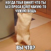 когда тебя винят что ты без проса взял какую-то чужую вещь вы что?