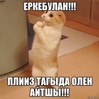 Еркебулан!!! Плииз тагыда олен айтшы!!!