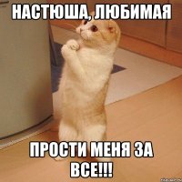 Настюша, Любимая Прости меня за все!!!