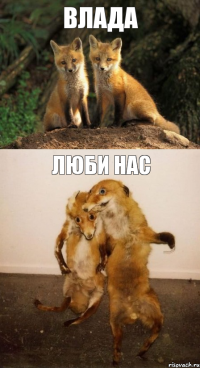 Влада люби нас