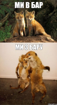 ми в бар ми з бару