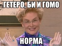 ГЕТЕРО, БИ И ГОМО НОРМА