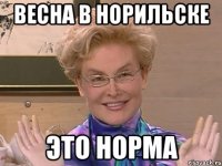 весна в норильске это норма