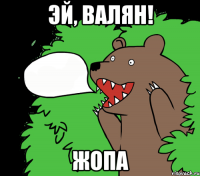 Эй, Валян! Жопа