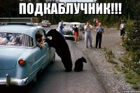 подкаблучник!!! 