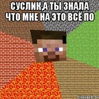 СУСЛИК,а ты знала что мне на это всё по 