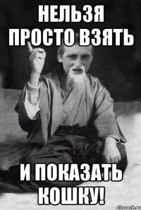 НЕЛЬЗЯ ПРОСТО ВЗЯТЬ И ПОКАЗАТЬ КОШКУ!