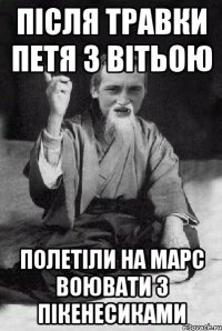 Після травки петя з вітьою Полетіли на марс воювати з пікенесиками