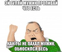 эй гуляй мужик пропивай что есть как ты не пахал мужик, обносился весь