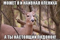 может я и наивная олениха а ты настоящий подонок!