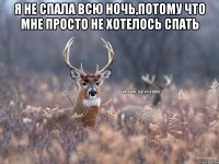 я не спала всю ночь,потому что мне просто не хотелось спать 