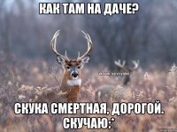 Как там на даче? Скука смертная, дорогой. скучаю:*