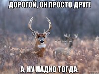 Дорогой, он просто друг! А, ну ладно тогда.