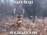 Иди в пизду Не,я заебался уже