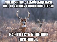 Мне приятно с тобой общаться, но я не завожу отношения сейчас На это есть большие причины.