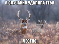 Я случайно удалила тебя Честно