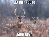 Да он просто мой друг