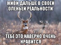 Живи дальше в своей 'оленьей реальности' Тебе это наверно очень нравится