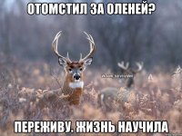 Отомстил за оленей? Переживу. Жизнь научила