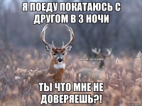 Я поеду покатаюсь с другом в 3 ночи Ты что мне не доверяешь?!