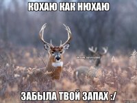 Кохаю как нюхаю Забыла твой запах :/