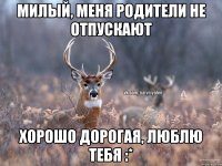 Милый, меня родители не отпускают Хорошо дорогая, люблю тебя :*