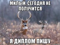 милый, сегодня не получится я диплом пишу