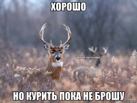 Хорошо Но курить пока не брошу