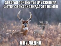 Дорогая почему ты ему скинула фотку своих сисек?Да это не мои А ну ладно