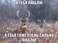 Я тебя люблю Я тебя тоже очень сильно люблю