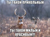 Ты такой прикольный Ты такой милый и красивый!!!