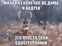 милая,ну конечно же,Дима и Андрей это просто твои одногруппники