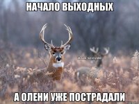 Начало выходных А олени уже пострадали