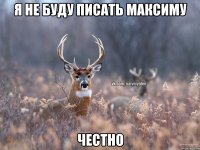 Я не буду писать Максиму Честно