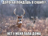 ДОРОГАЯ,ПОЙДЕШЬ В СКАЙП? НЕТ,У МЕНЯ ПАПА ДОМА