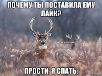 Почему ты поставила ему лайк? Прости, я спать.