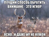 Лучший способ обратить внимание - это игнор Ясно...и даже wf не нужон