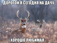 Дорогой я сегодня на дачу Хорошо любимая:*