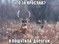 Что за Ярослав? Я пошутила, дорогой.