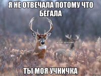 я не отвечала потому что бегала ты моя учничка