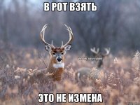 в рот взять это не измена