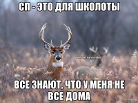 СП - это для школоты Все знают, что у меня не все дома