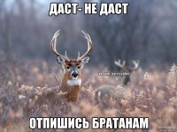 Даст- не даст Отпишись братанам