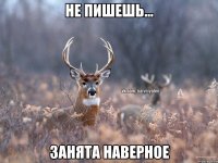 Не пишешь... Занята наверное