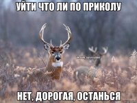 Уйти что ли по приколу Нет, дорогая, останься