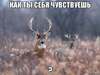 Как ты себя чувствуешь ?