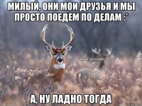 Милый, они мои друзья и мы просто поедем по делам :* А, ну ладно тогда