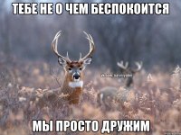 Тебе не о чем беспокоится Мы просто дружим