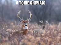 Я тоже скучаю 